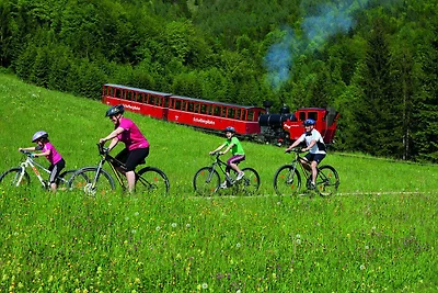 Vakantieappartement Gezinsvakantie Abersee
