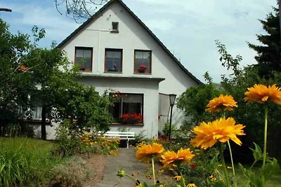 Vakantieappartement Gezinsvakantie Sellin