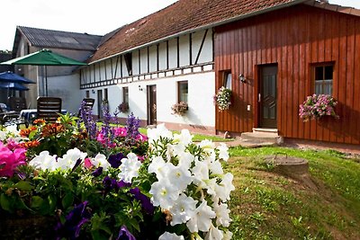 Vakantieappartement Gezinsvakantie Erbach im Odenwald