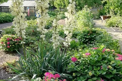 Vakantieappartement Gezinsvakantie Biendorf