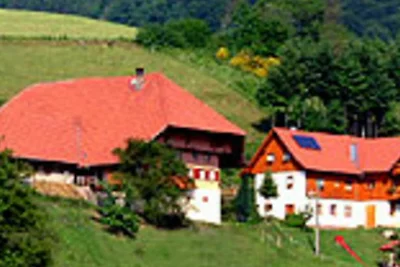 Vakantieappartement Gezinsvakantie Schuttertal