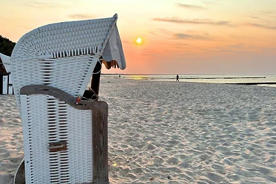 Albergo Cultura ed escursioni Zempin