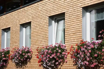 Appartamento Vacanza con famiglia Au in Vorarlberg
