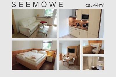 Seemöwe (6)