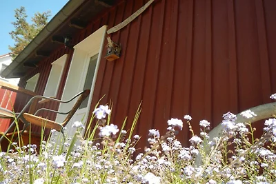 Appartamento Vacanza con famiglia Hiddensee
