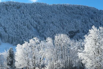 Vakantieappartement Gezinsvakantie Bezau
