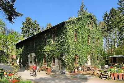 Albergo Cultura ed escursioni Neuharlingersiel