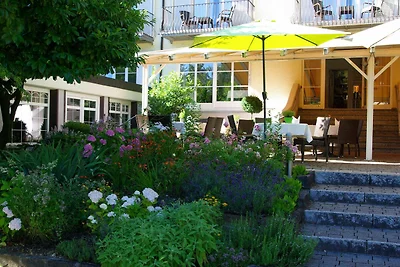 Albergo Cultura ed escursioni Kressbronn