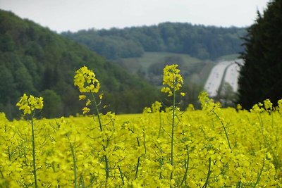 Vakantieappartement Gezinsvakantie Neundorf bei Schleiz