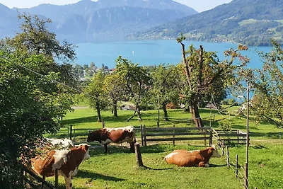 Appartamento Vacanza con famiglia Steinbach am Attersee