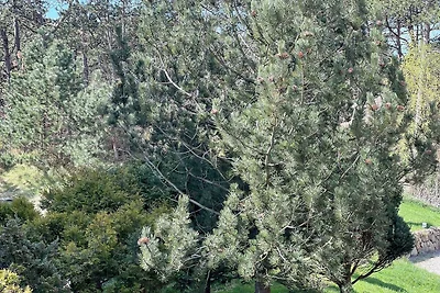 Haus Dreilanden Whg 06