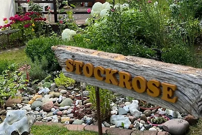FW Stockrose