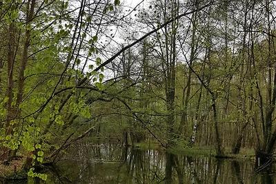 Vakantieappartement Gezinsvakantie Blankensee