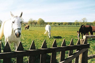 Appartement 5a Reitanlage