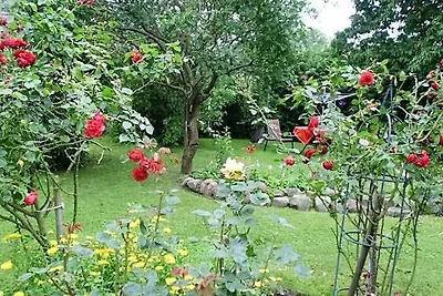 Vakantieappartement Gezinsvakantie Bergen auf Rügen