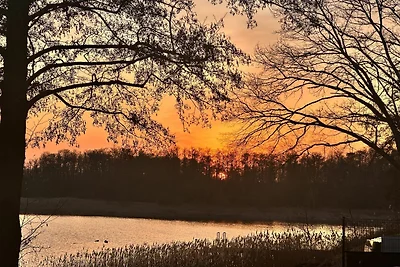 Zaunkönig Exklusiver Rückzugsort am See