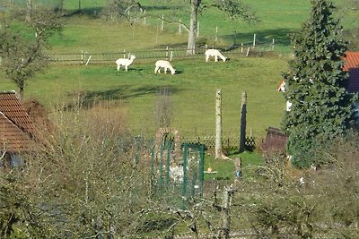 Appartamento Vacanza con famiglia Oberzent