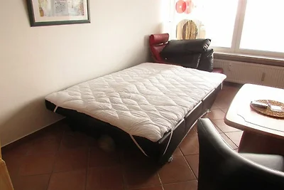 Apartment 255