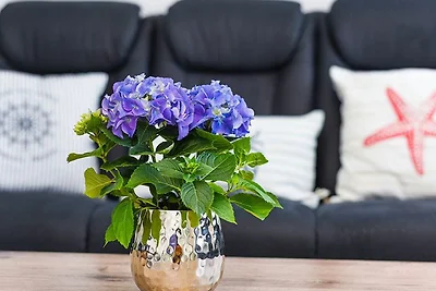 Ferienwohnung Schlipf