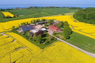 Vakantiehuis Ontspannende vakantie Steinberg