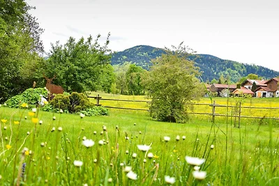 Ferienwohnung Enzian