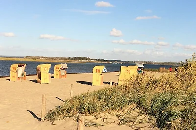 Ferienwohnung Sturmmöwe
