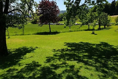 Appartamento Vacanza con famiglia Mondsee