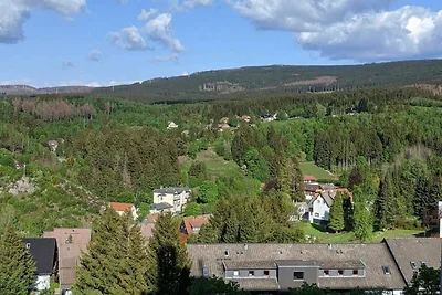 Brockenblick H-8-2