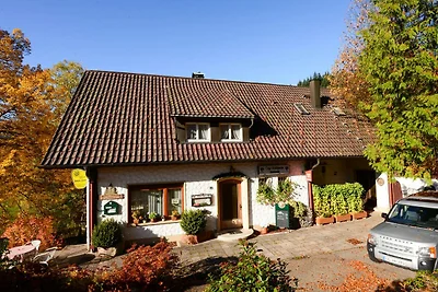 Appartement Vacances avec la famille Bad Peterstal-Griesbach