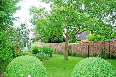 Appartement mit Terrasse 01