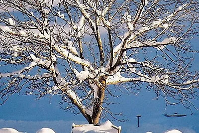 Vakantiehuis Ontspannende vakantie Mondsee