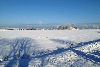 FW Seeschwalbe