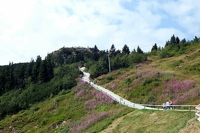 Ferienhaus Bergblick Fewo 01 EG