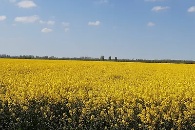 Vakantieappartement Gezinsvakantie Kollmar