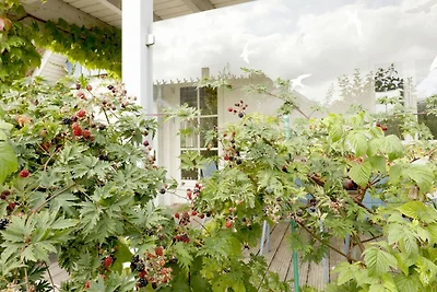 Casa Mare Baltico Reethaus