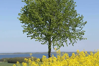 Appartamento Vacanza con famiglia Am Salzhaff