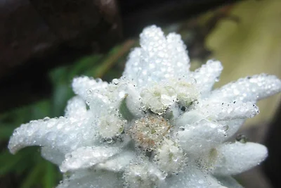 Appartamento Vacanza con famiglia Schliersee