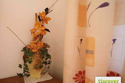 Apartamento Vacaciones familiares Wildschönau