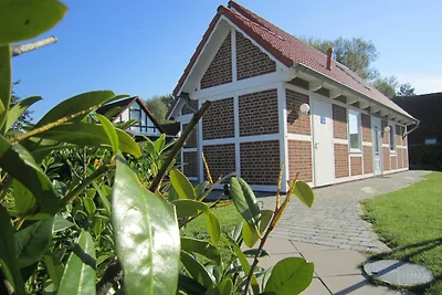 Hotel cultural and sightseeing holiday Hollern-Twielenfleth