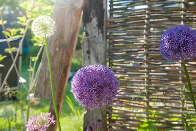 Ferienwohnung Turmfalke, Terrasse