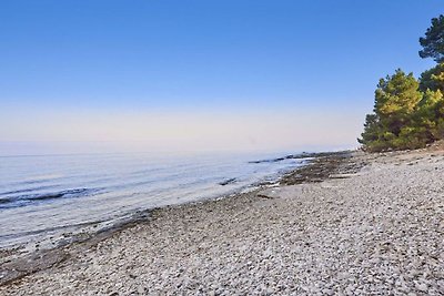 Holiday home relaxing holiday Savudrija