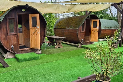 Albergo Cultura ed escursioni Lübbenau