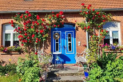 Vakantiehuis Ontspannende vakantie Wredenhagen