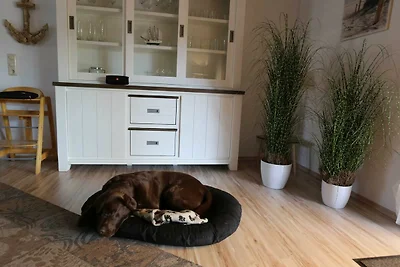 Casa vacanze Vacanza di relax Friedrichskoog