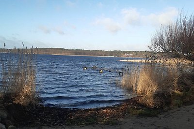 Vakantiehuis Ontspannende vakantie Wesenberg