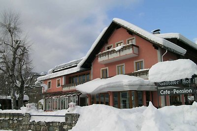 Hotel Cultuur en bezienswaardigheden Kötschach-Mauthen