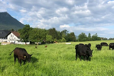 Zweibettzimmer Wiese