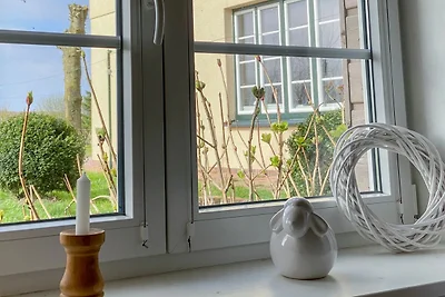 Vakantieappartement Gezinsvakantie Nordstrand