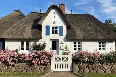 Vakantiehuis Ontspannende vakantie Oevenum