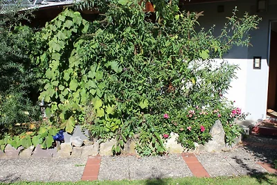 Ferienwohnung Appartment
